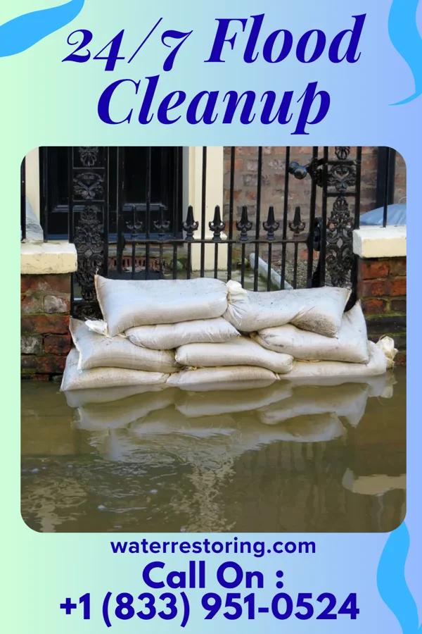 24/7 Flood Cleanup in Kaneville, IL