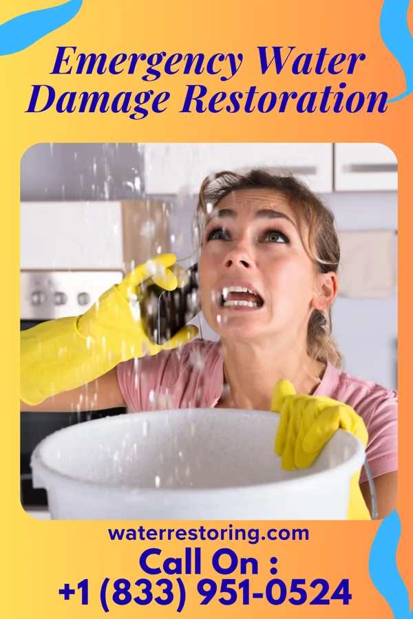 Emergency Water Damage Restoration in Kaneville, IL